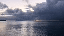IMG_2531.gif