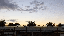 IMG_9239.gif