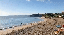 IMG_8937.gif