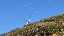 IMG_7968.gif