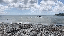 IMG_0494.gif