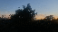 MOV_0163.gif
