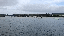IMG_8617.gif