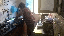 IMG_4678.gif
