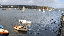 IMG_8606.gif