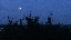 MOV_0051.gif