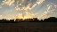 IMG_3476.gif