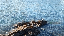 IMG_8945.gif