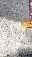 IMG_3665.gif