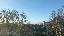 IMG_9949.gif