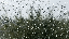 8603370c1f7bd2ebef6e0ab35f384b6a.gif