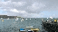 IMG_8614.gif