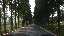 IMG_4493.gif