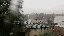 IMG_2536.gif