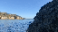 IMG_8972.gif