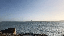 IMG_7713.gif