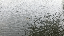 IMG_7822.gif