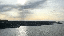 IMG_5455.gif