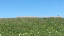 IMG_2925.gif