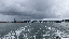 IMG_3393.gif