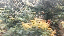 IMG_7926.gif