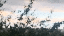 MOV_0133.gif