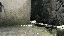 IMG_6953.gif