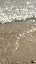 IMG_2555.gif