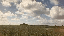 IMG_0398.gif