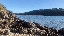 IMG_9262.gif