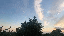 IMG_1917.gif