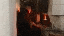IMG_1991.gif