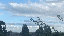 IMG_8593.gif