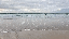 IMG_0751.gif