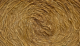 UPTERRA_HAYROLL.png