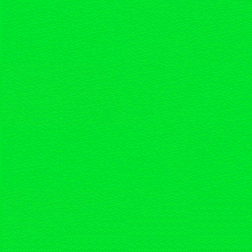 CÍRIO_Gif.gif