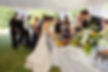 Wedding Buffet