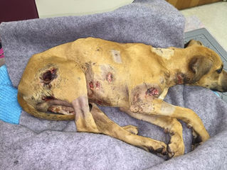 How can this evil exist?