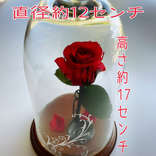 美女と野獣のバラ | 憧れ 花のアトリエ