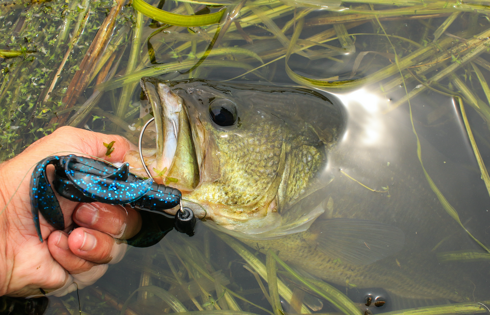 Best Bass Lures 2022 (Top 13 New Baits) Bass Tackle Lures