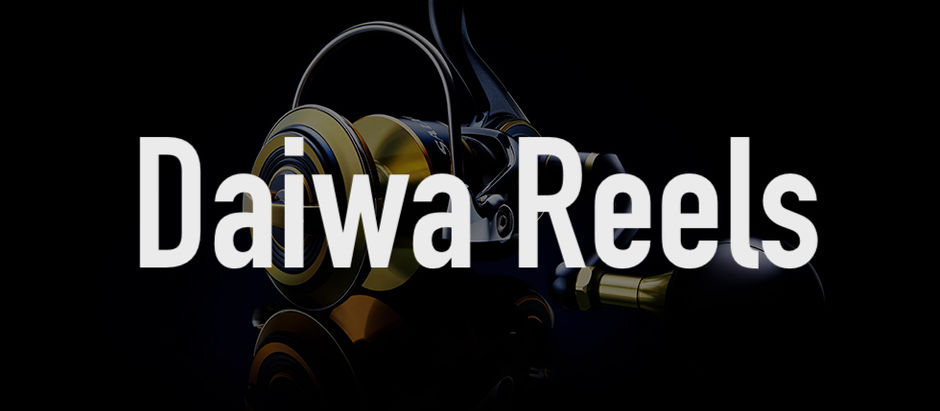 4 Best Daiwa Spinning Reels of 2022
