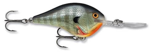 Green Orange Rapala DT Series Crankbait