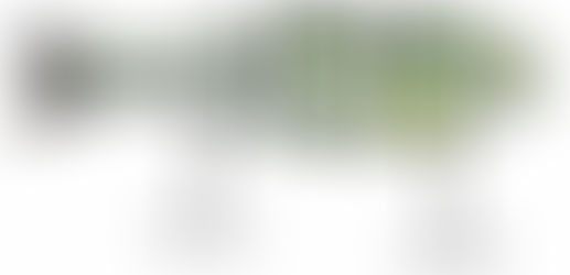 Baby Bull Shad Swimbait Review