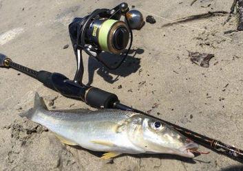 Best Rod for Whiting (Top 4 of 2022)