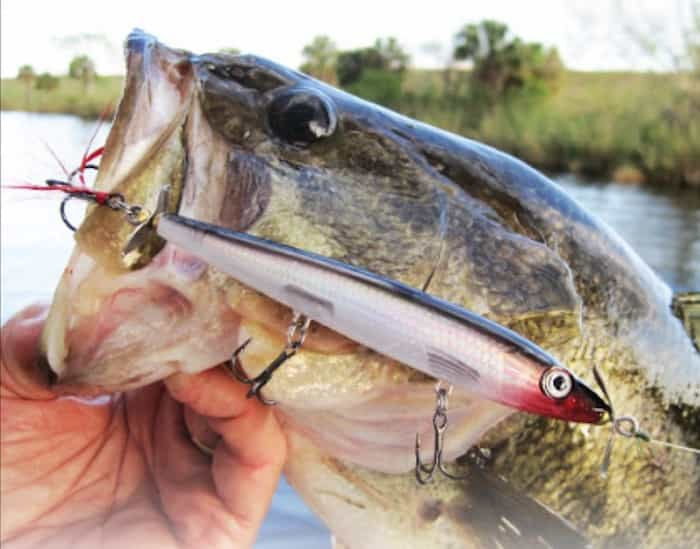 8 Best Rapala Lures for Bass (2022) Bass Tackle Lures