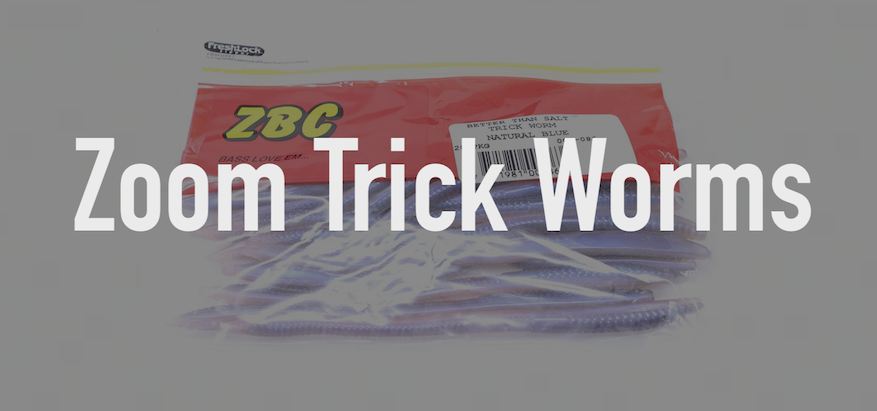 6 Best Zoom Trick Worm Colors of 2022