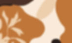 website_bg.jpg