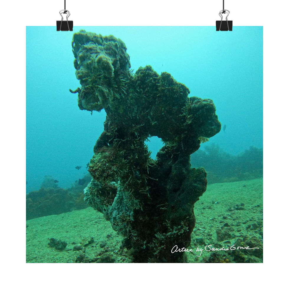 Thumbnail: Twin Vases - Square Poster