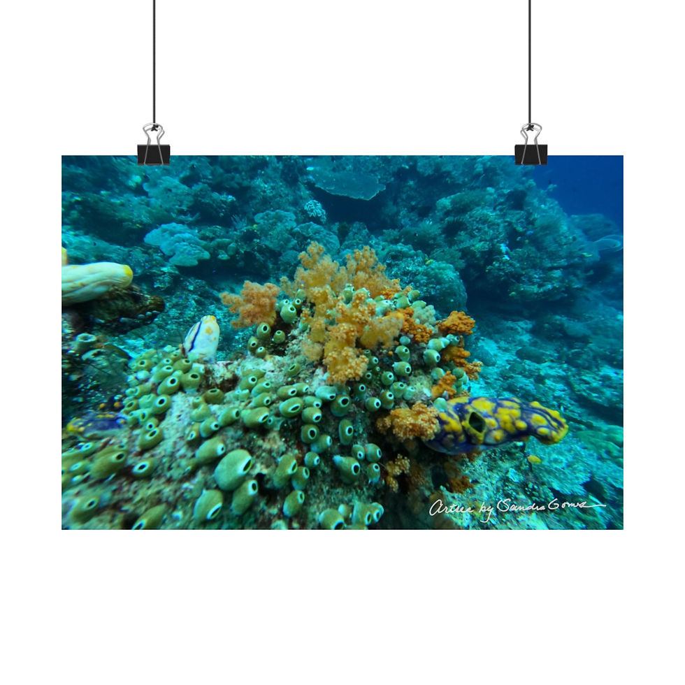 Thumbnail: Sea Squirt Coral - Horizontal Poster