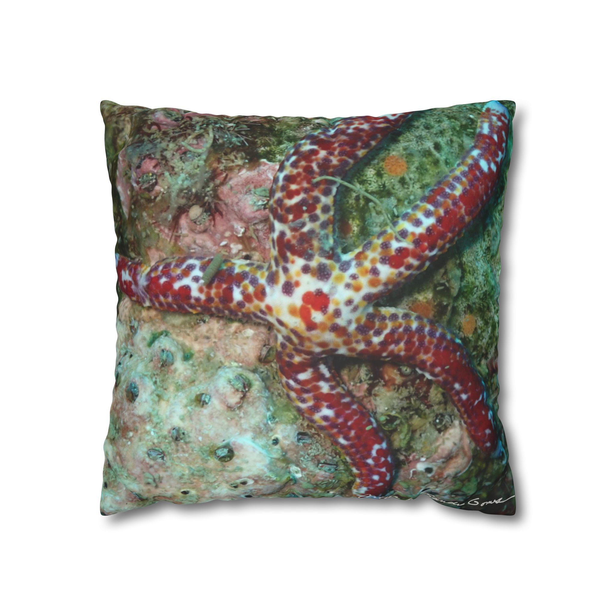 Red Spotted Starfish - Pillow Case